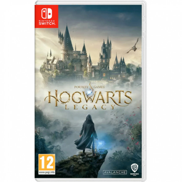 Игра Hogwarts Legacy [Nintendo Switch, русские субтитры] в Набережных Челнах